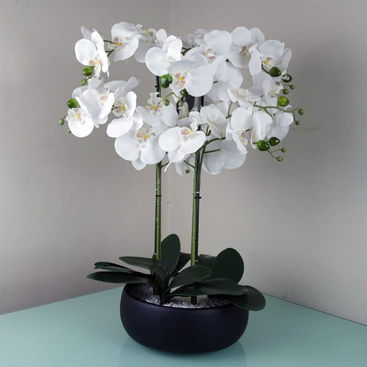 60cm Orchid Artificial White - Black Ceramic Planter