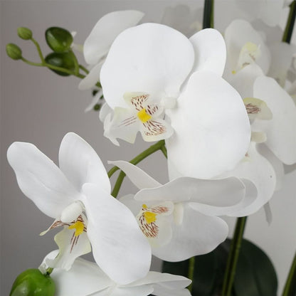 60cm Orchid Artificial White - Black Ceramic Planter